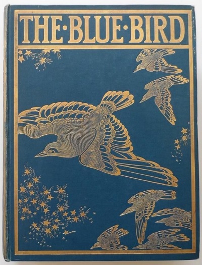 blue bird play